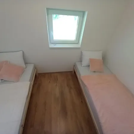 Vineyard Foggy Sea *