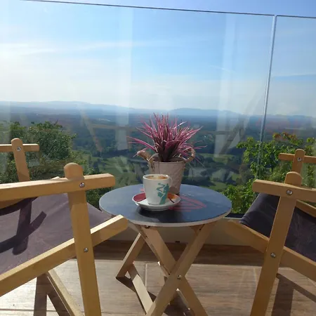 Vineyard Foggy Sea * Semic