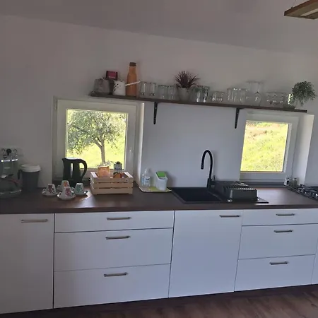 Vineyard Foggy Sea *