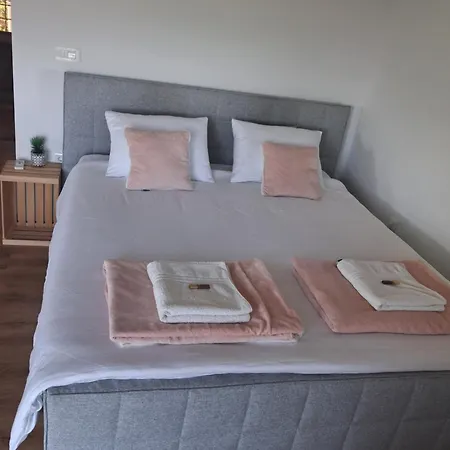 Vineyard Foggy Sea * Semic