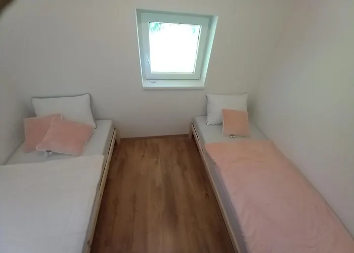 Vineyard Foggy Sea *