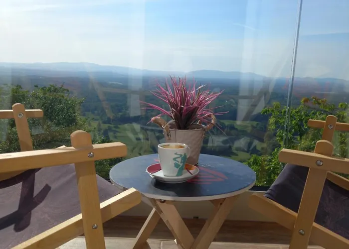 Vineyard Foggy Sea * Semic