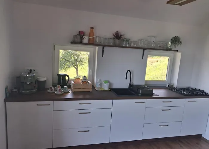 Vineyard Foggy Sea *