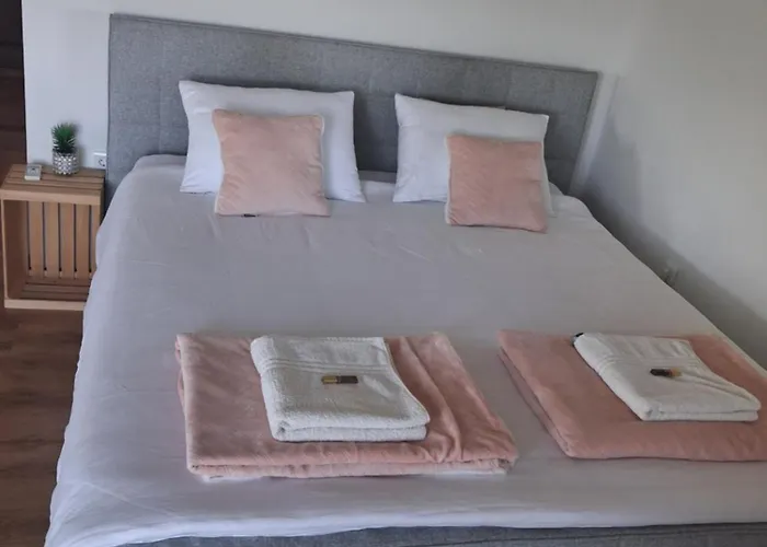 Vineyard Foggy Sea * Semic